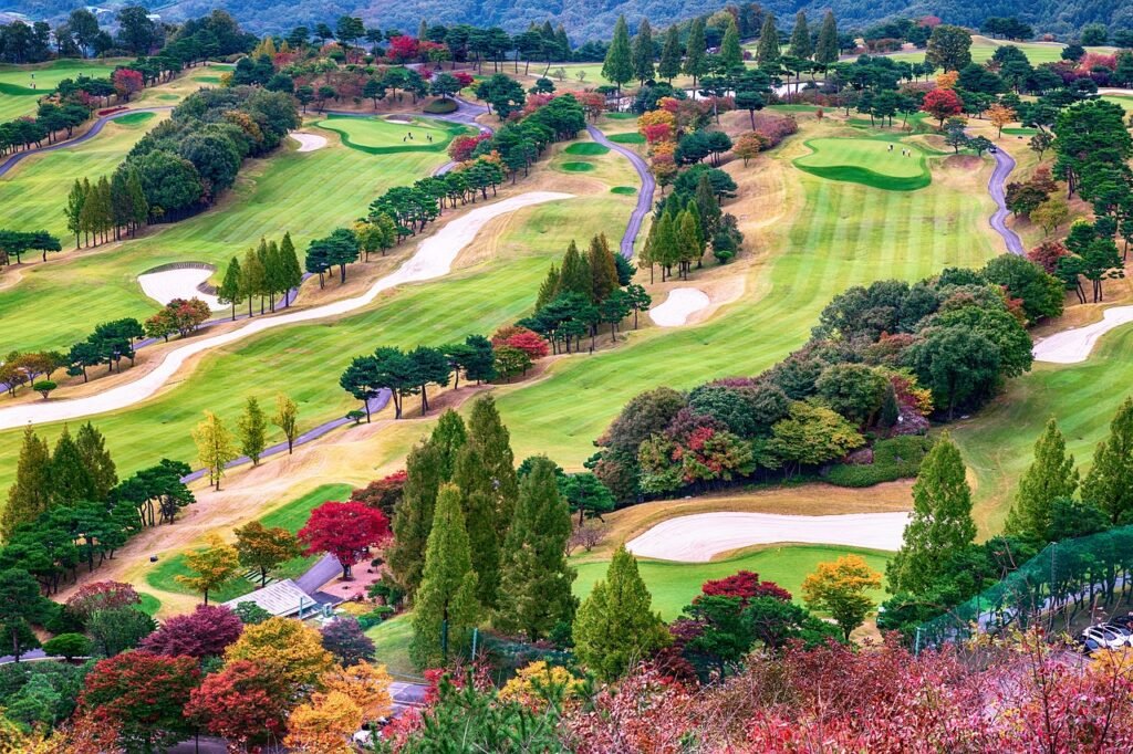 autumn, golf, golf course, sports, leisure, scenery, landscape, morning, green, golf club, autumn scenery, golf, golf, golf, golf, golf, golf course, golf course, golf course, golf course